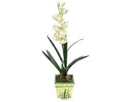 zel Yapay Orkide Beyaz   Giresun online iek gnderme sipari 