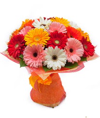 Renkli gerbera buketi  Giresun ucuz çiçek gönder 