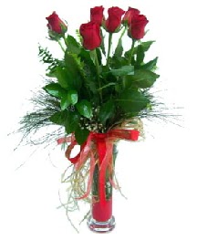 vazo içerisinde 5 kırmızı gül  Giresun internetten çiçek siparişi 
