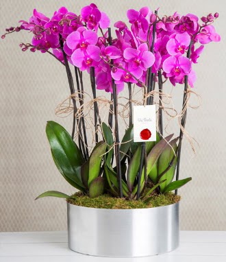 11 dall mor orkide metal vazoda  Giresun uluslararas iek gnderme 