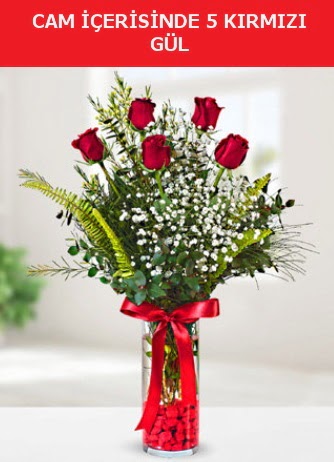 Cam içerisinde 5 adet kırmızı gül  Giresun yurtiçi ve yurtdışı çiçek siparişi 