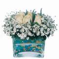 mika ve beyaz gül renkli taslar   Giresun çiçek online çiçek siparişi 