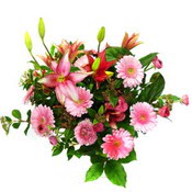 lilyum ve gerbera çiçekleri - çiçek seçimi -  Giresun anneler günü çiçek yolla 
