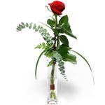 Giresun hediye sevgilime hediye çiçek  1 adet kirmizi gül cam yada mika vazo içerisinde