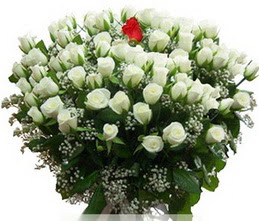  Giresun online çiçekçi , çiçek siparişi  100 adet beyaz 1 adet kirmizi gül buketi