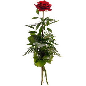  Giresun online çiçek gönderme sipariş  1 adet kırmızı gülden buket