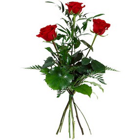 Giresun çiçek satışı  3 adet kırmızı gülden buket