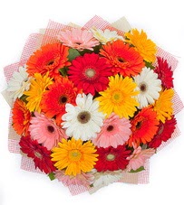 15 adet renkli gerbera buketi  Giresun çiçek siparişi vermek 
