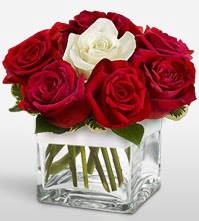 Tek aşkımsın çiçeği 8 kırmızı 1 beyaz gül  Giresun çiçek satışı 