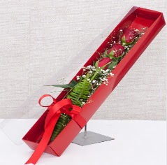 Kutu içerisinde 3 adet kırmızı gül  Giresun çiçek yolla 