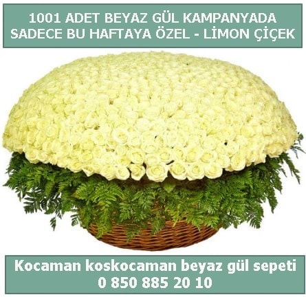 1001 adet beyaz gül sepeti özel kampanyada  Giresun uluslararası çiçek gönderme 