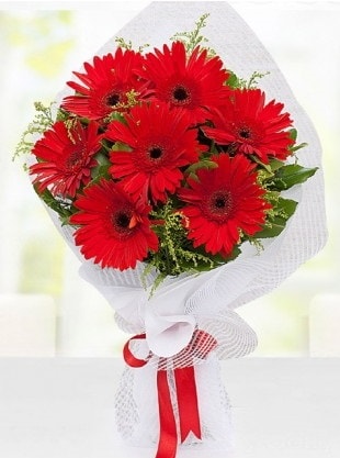 Kırmızı Gelbera Buketi  Giresun İnternetten çiçek siparişi 