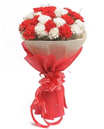 21 adet kırmızı beyaz karanfil buketi  Giresun çiçek online çiçek siparişi 
